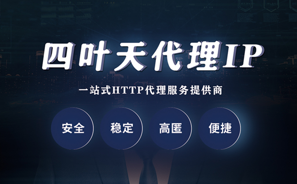 【定安代理IP】代理ip客户端使用教程