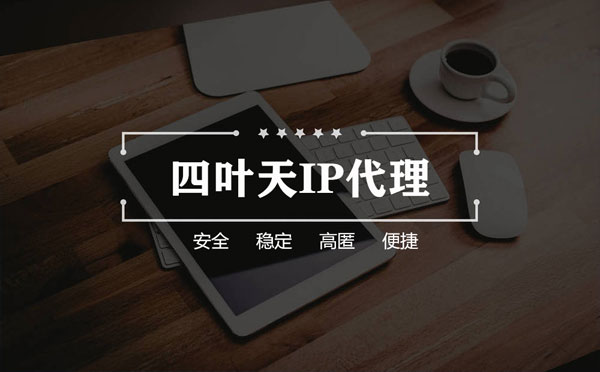 【定安代理IP】如何快速搭建代理IP？怎么检查代理的效果？