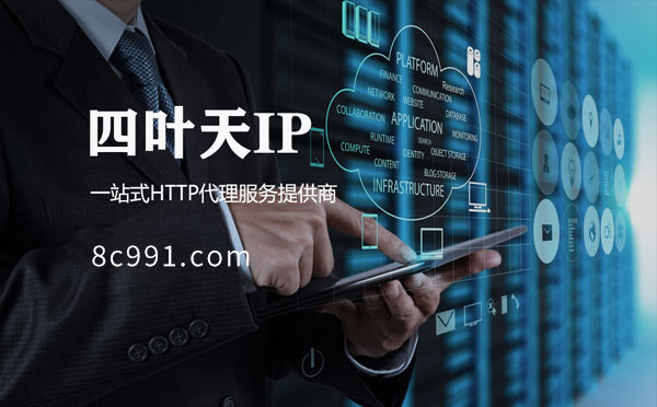 【定安代理IP】IP地址是什么？更改IP地址会有什么影响？